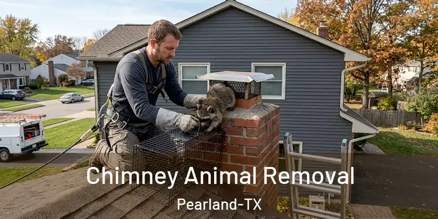 Chimney Animal Removal Pearland-TX